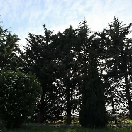 Eden House *